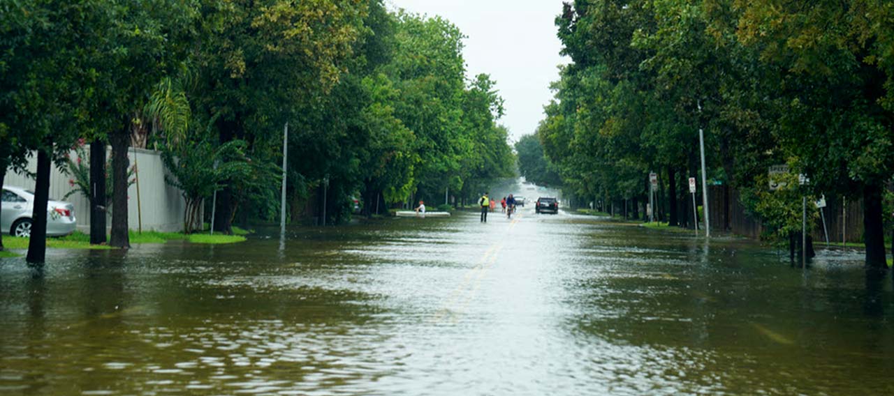 tropical storm
